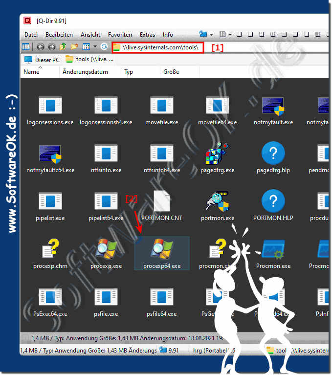 Sysinternals Tools start directly from the web folder!