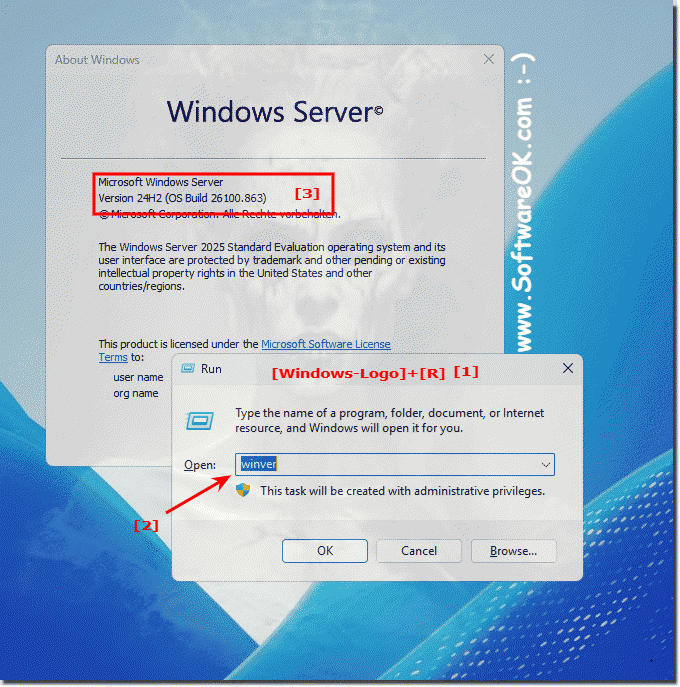 Windows Server disguised as Windows 12 in download!